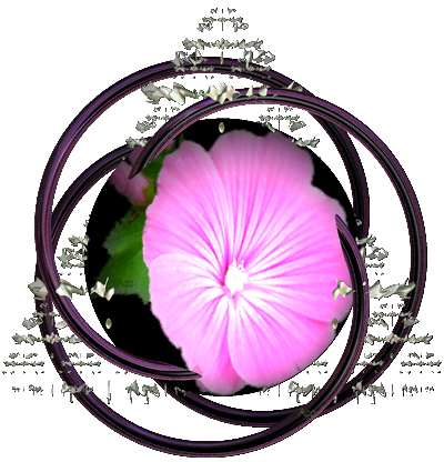 Radio Podcast - Katholische Nachrichten